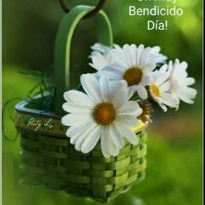 Meet your Posher, Silvia